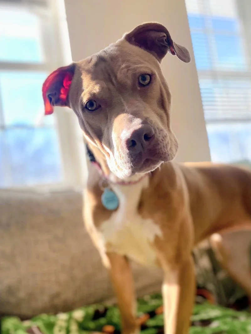 Karissa Dixon thumbnail 2