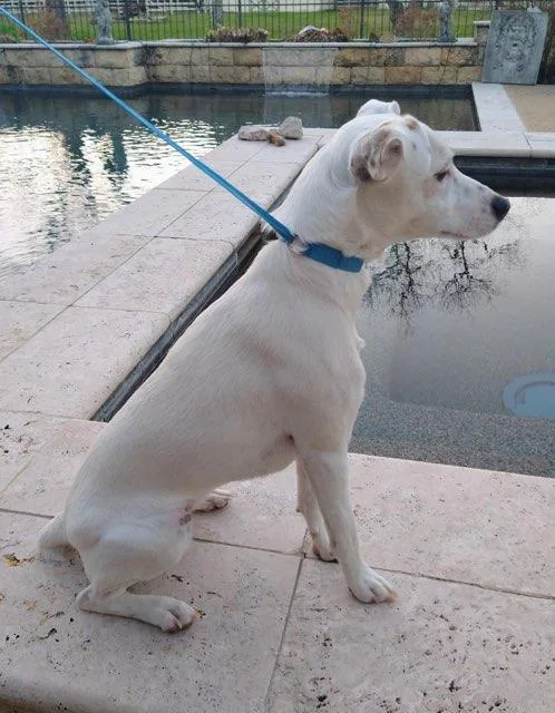 Princess In Houston  thumbnail 2