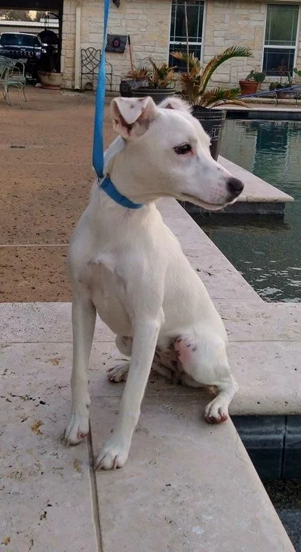 Princess In Houston  thumbnail 3