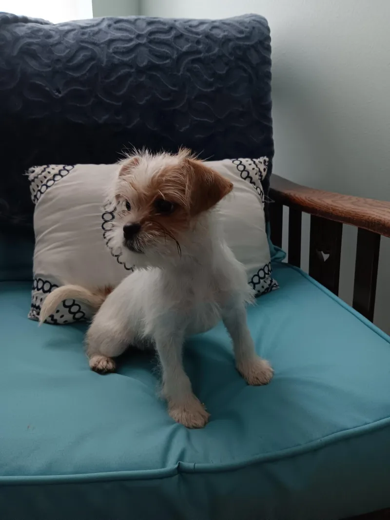Cleo thumbnail 6