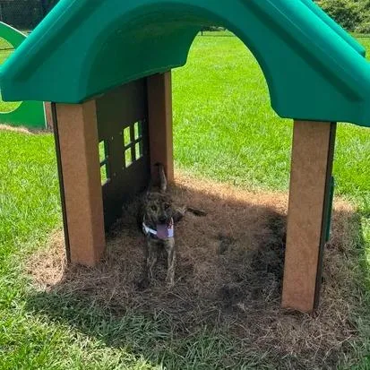 Day Dream thumbnail 5