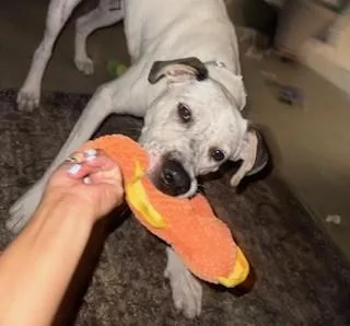 Atlasfresno  Ca thumbnail 2