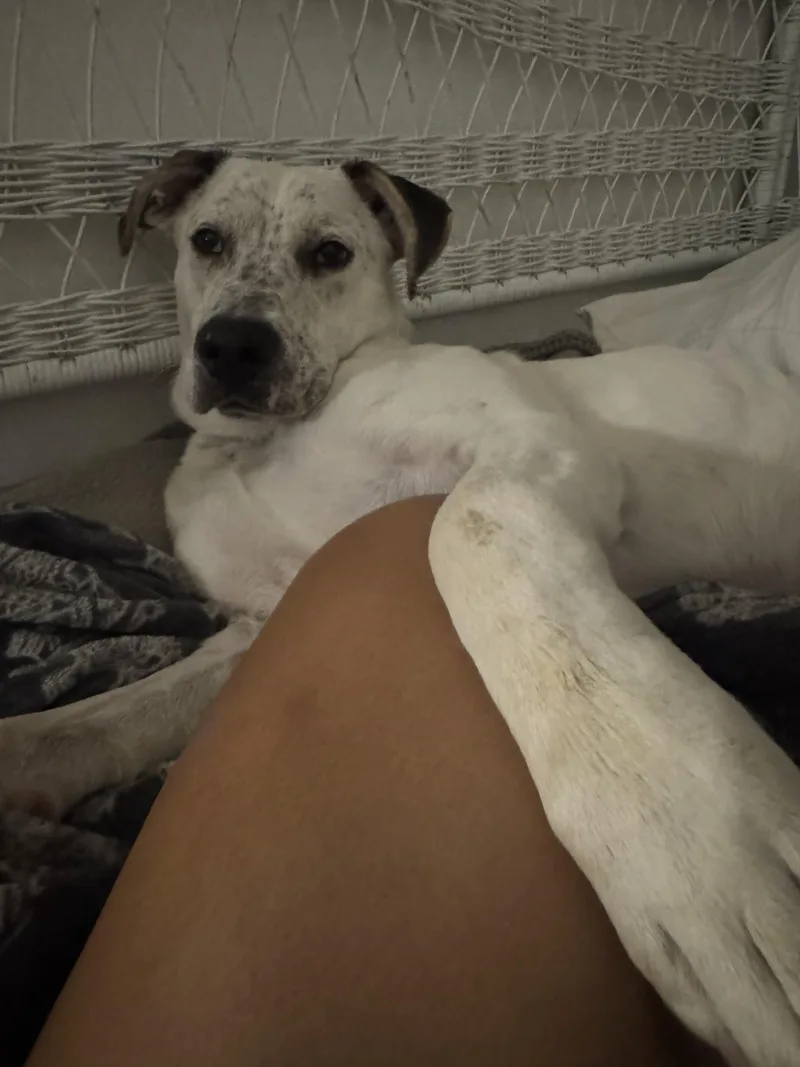 Atlasfresno  Ca thumbnail 4