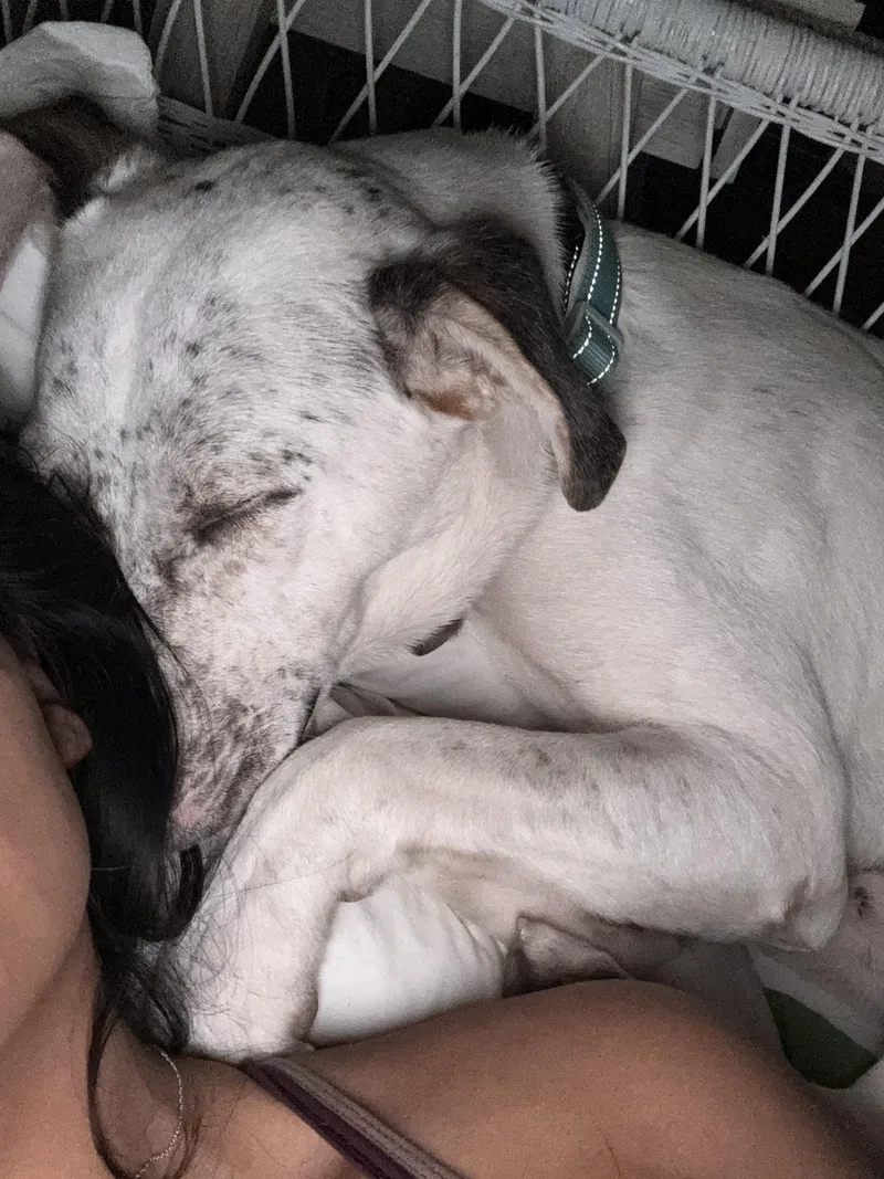 Atlasfresno  Ca thumbnail 5