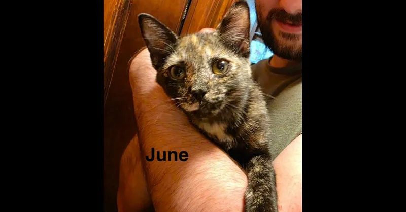 June thumbnail 2