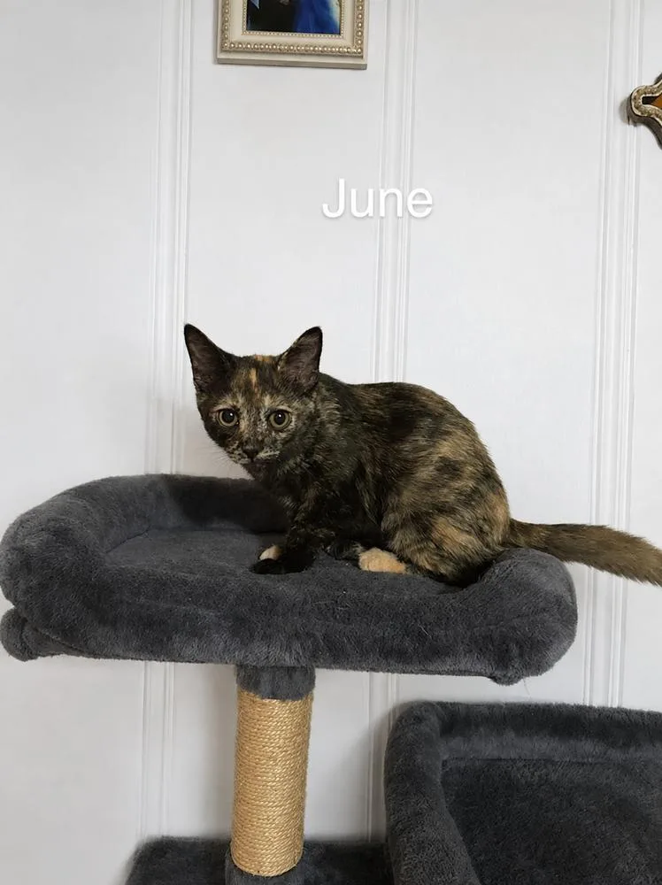 June thumbnail 5
