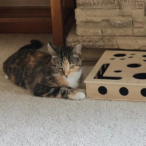 MIssyCOURTESY LISTING