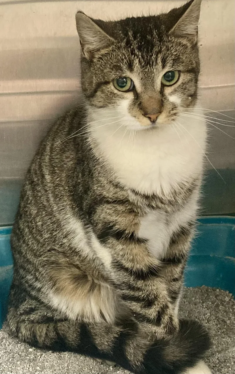 Jasmine thumbnail 3