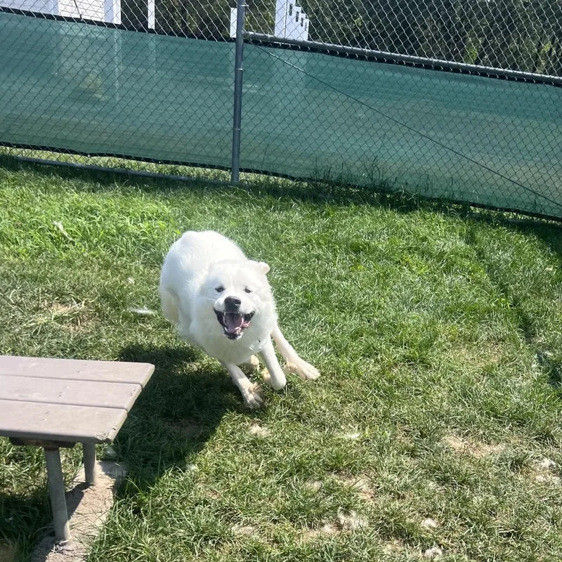 Alaska