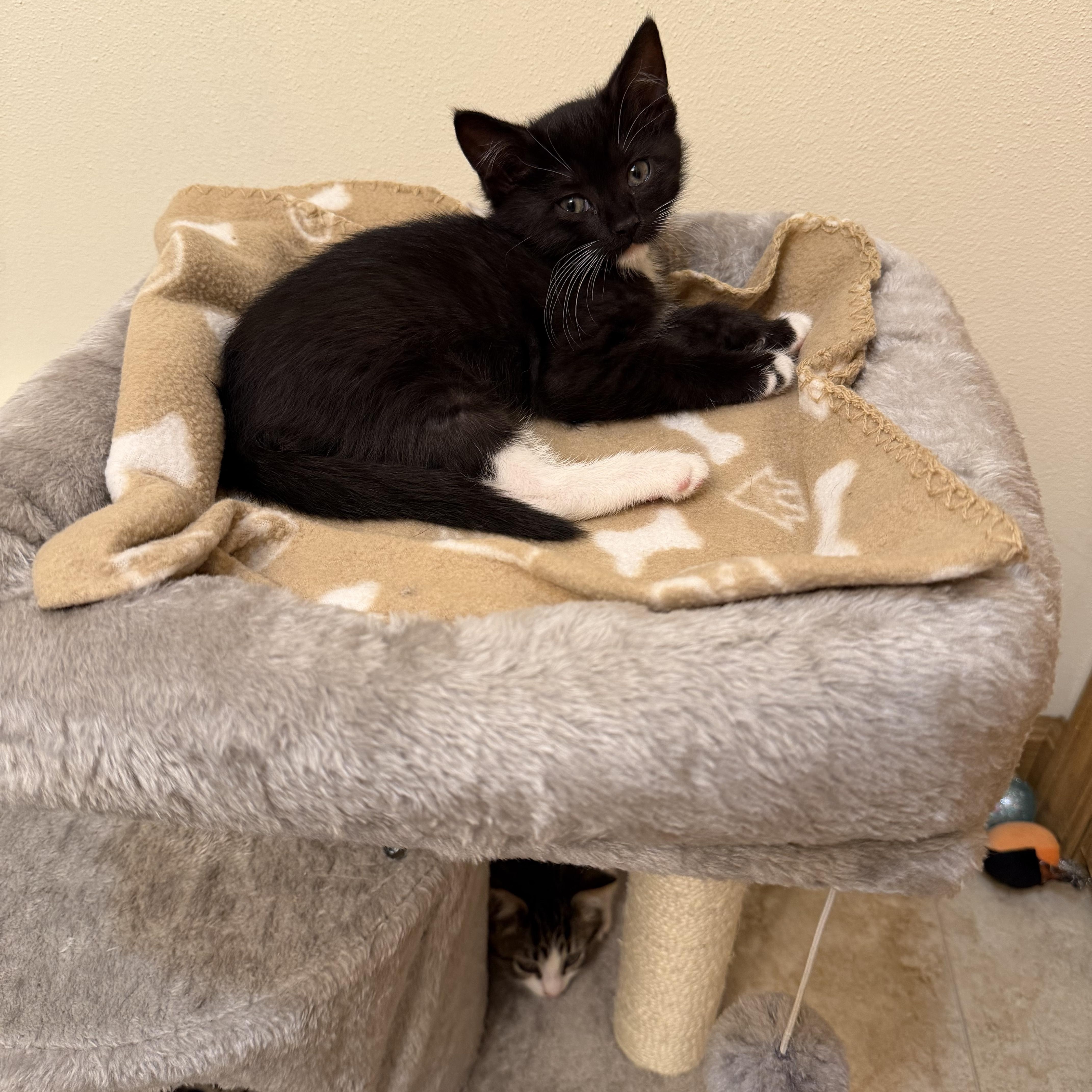 Sonny And Storm thumbnail 2