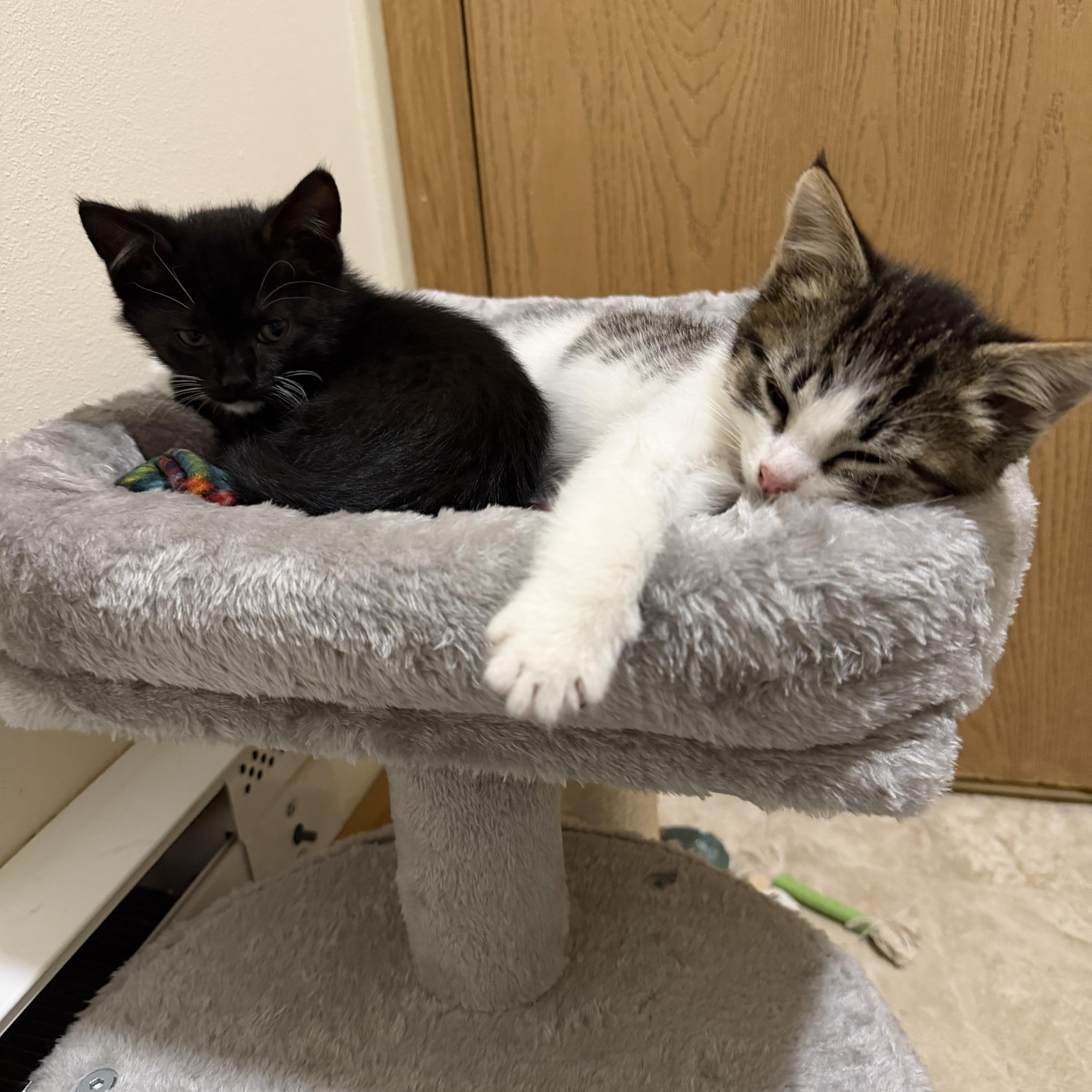 Sonny And Storm thumbnail 5