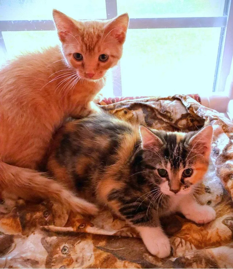 Wynnie and Wilson thumbnail 3