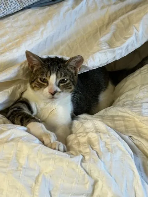 Binx And Nina thumbnail 3