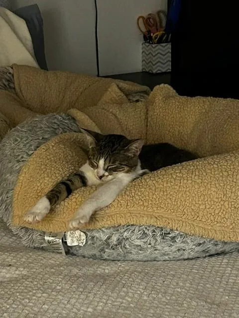 Binx And Nina thumbnail 4