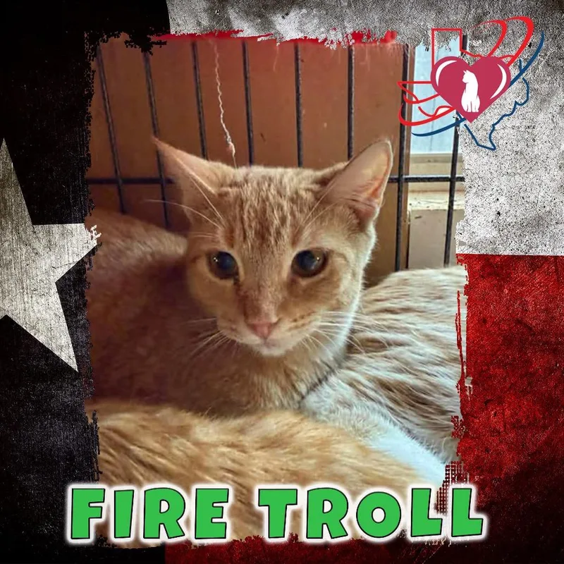Fire Trolltiger thumbnail 2