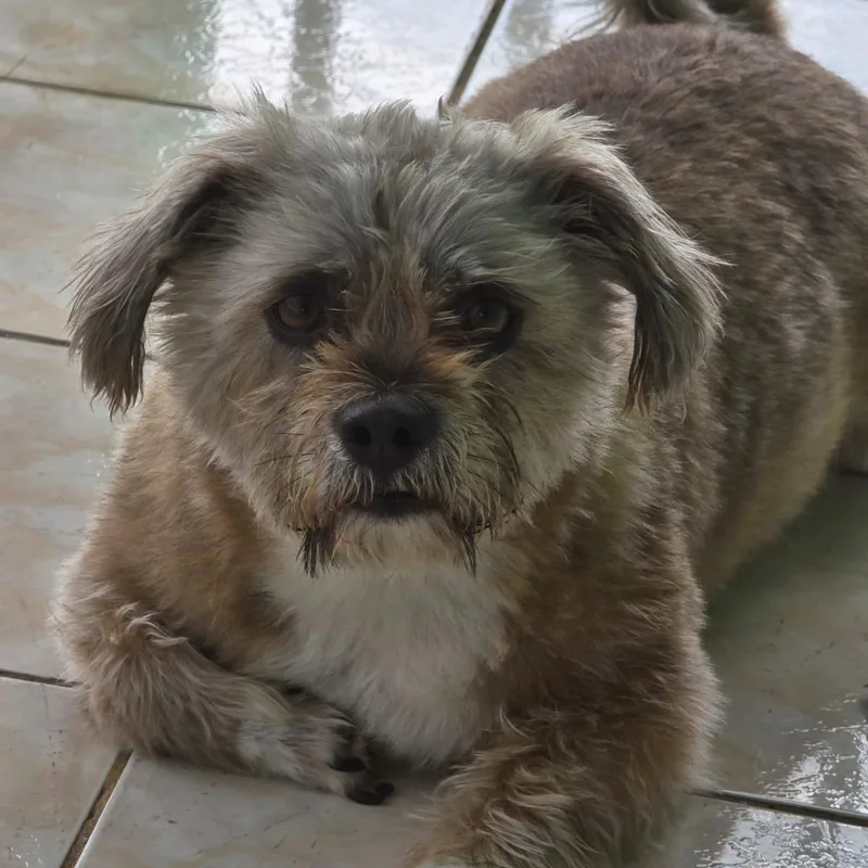 Teddy Hope thumbnail 2