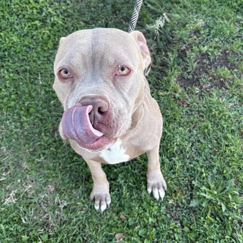 Pollyanna D thumbnail 2