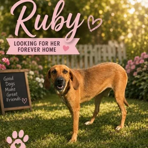 Ruby thumbnail 3