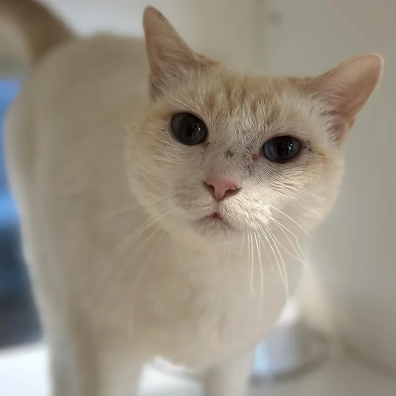 Coco thumbnail 2