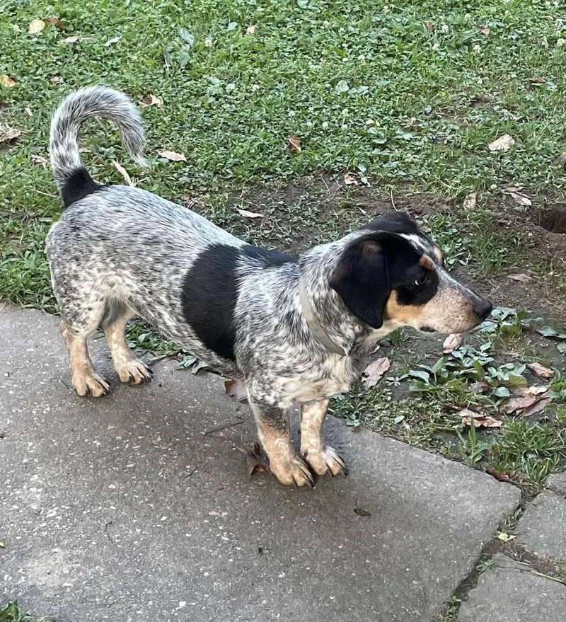 Stella ~ thumbnail 2