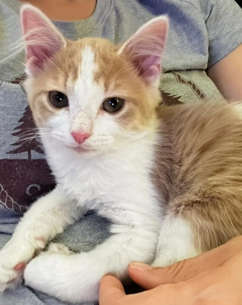 Marty McFly thumbnail 6
