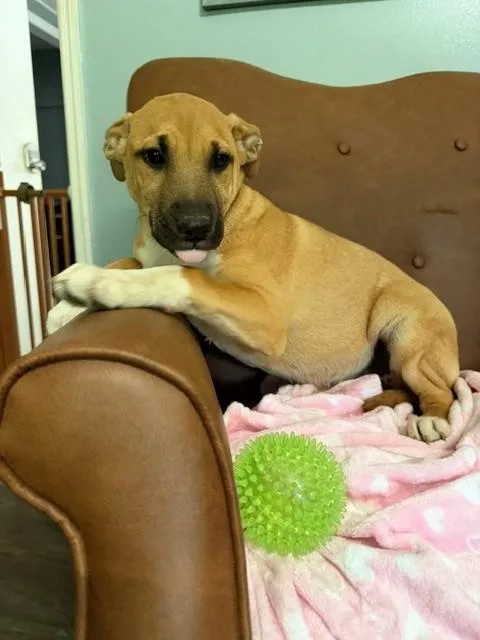 Maddie Mojito thumbnail 4