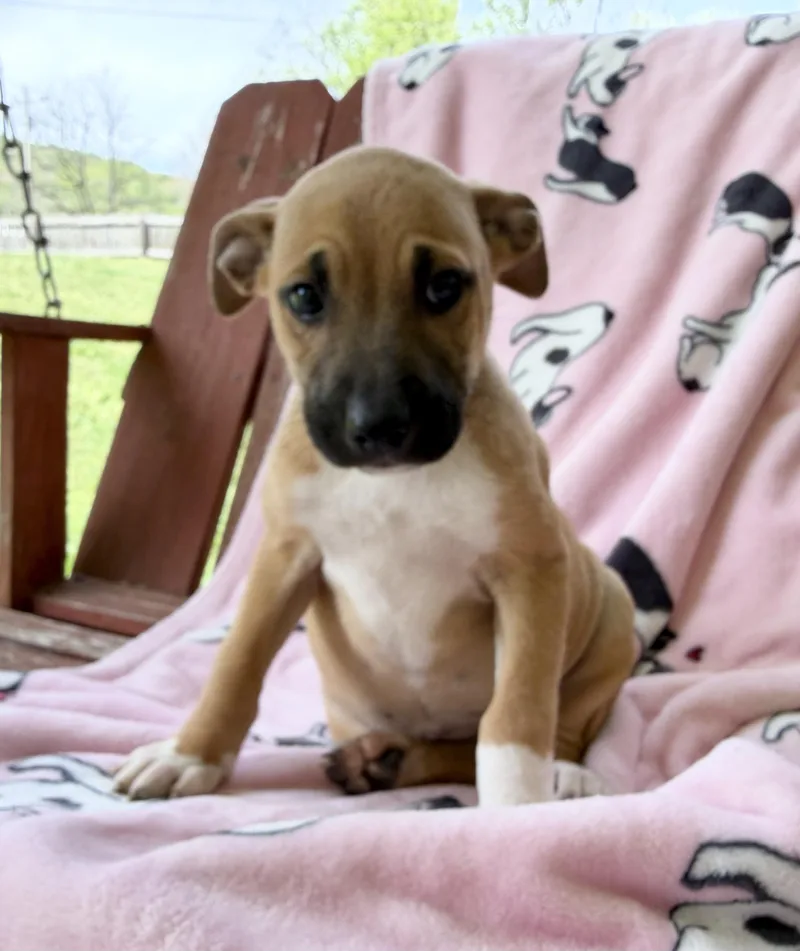 Maddie Mojito thumbnail 6