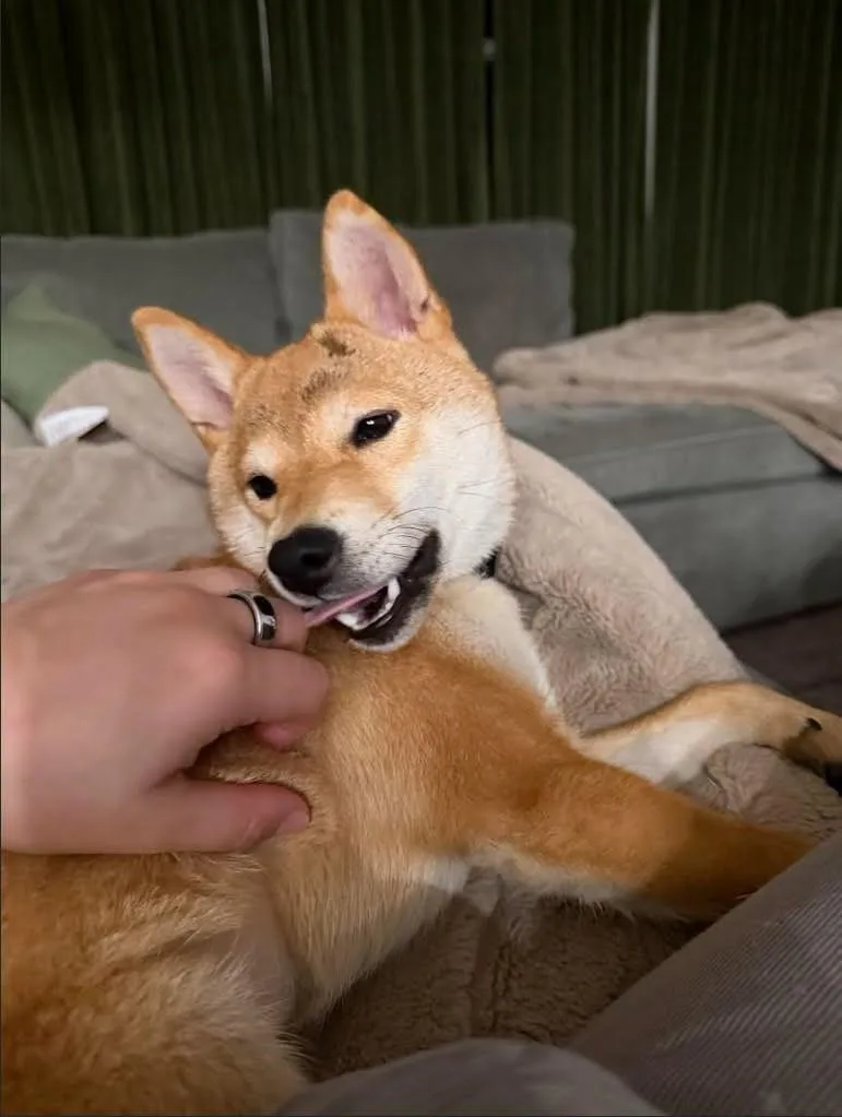 Kiki thumbnail 6