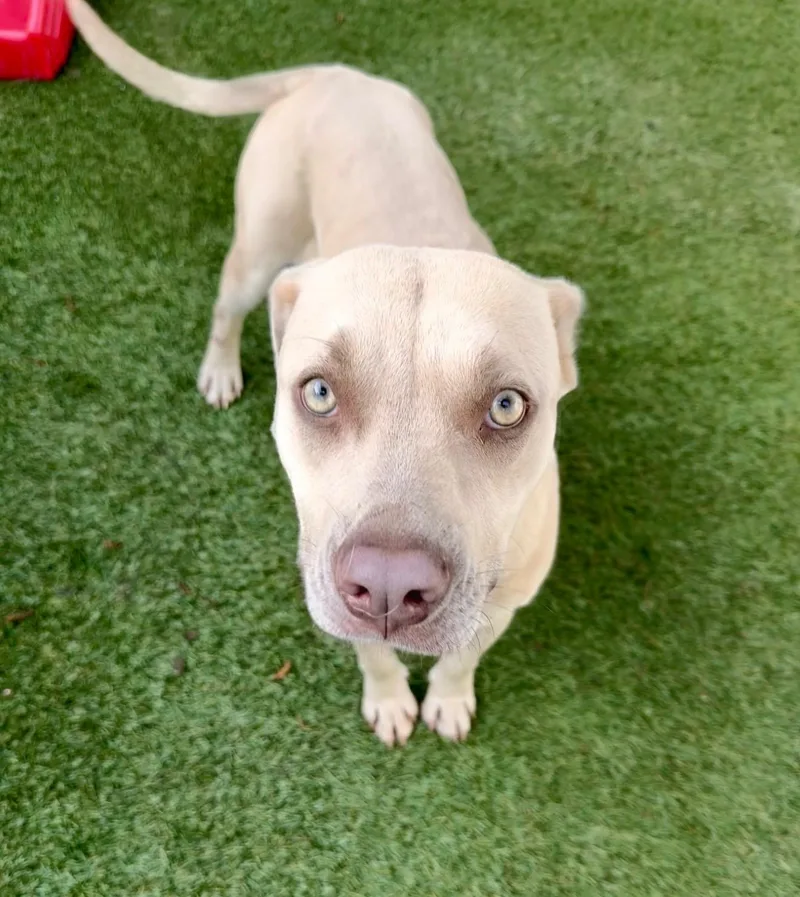 Daisy Mae thumbnail 3