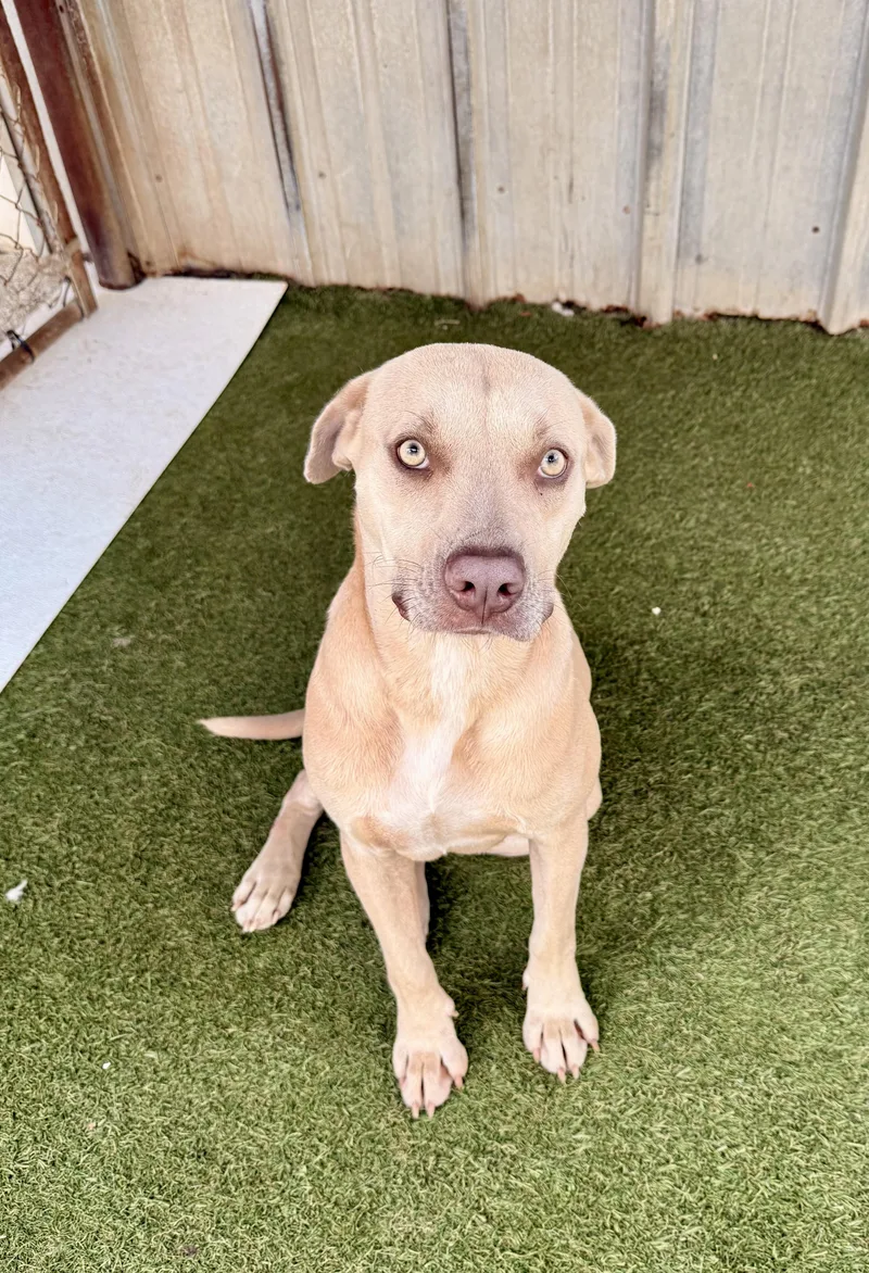 Daisy Mae thumbnail 5