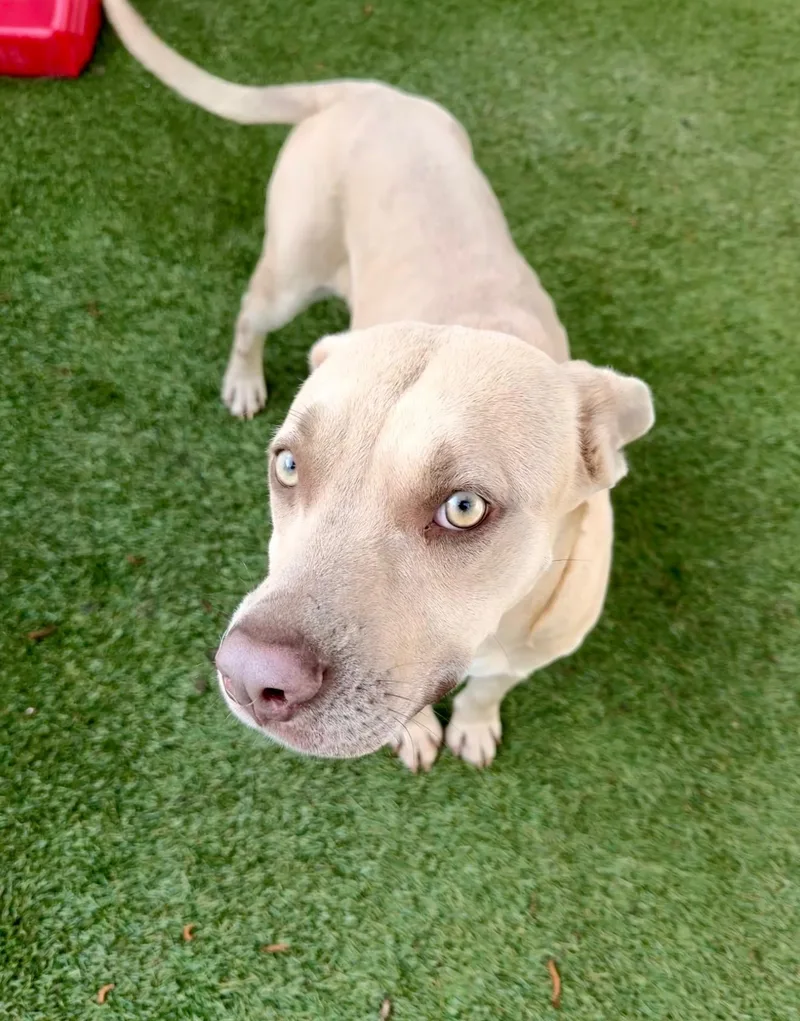 Daisy Mae thumbnail 6