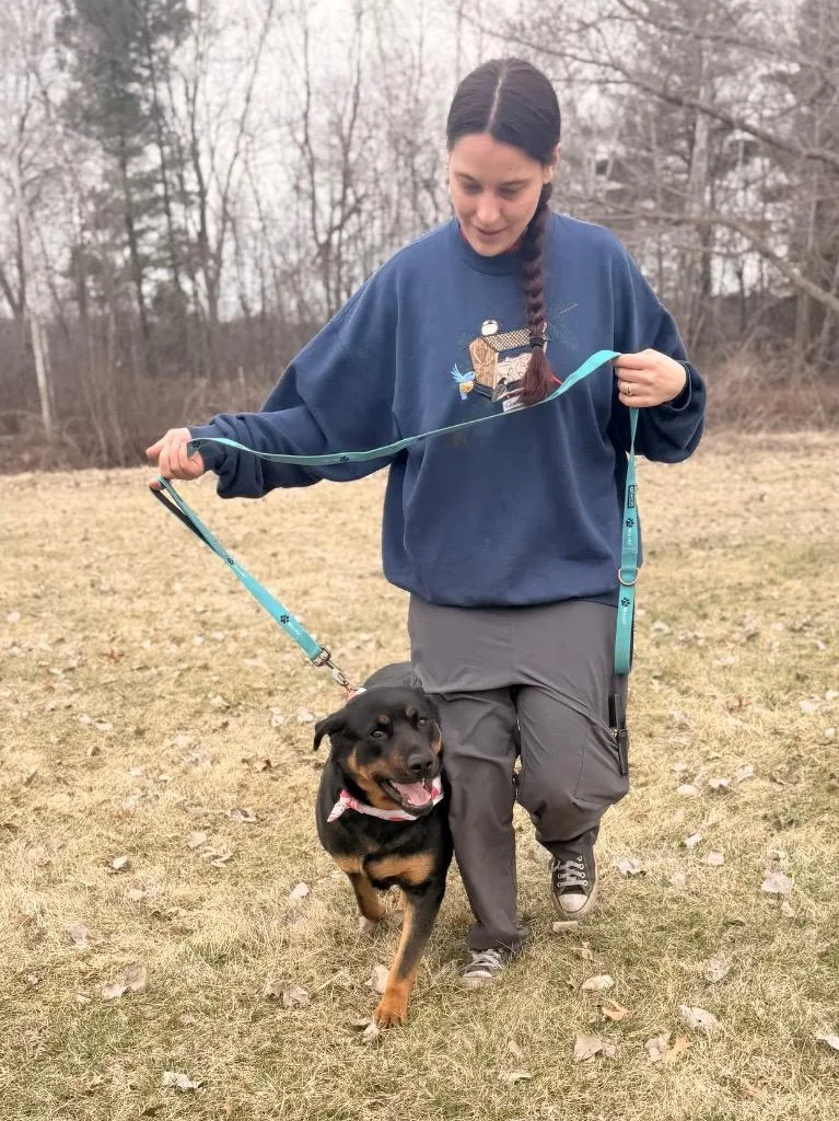 Sea Biscuit thumbnail 3