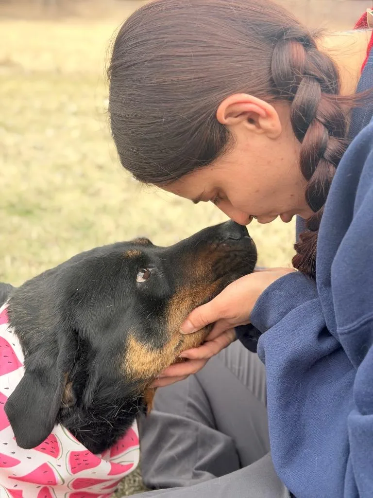 Sea Biscuit thumbnail 4