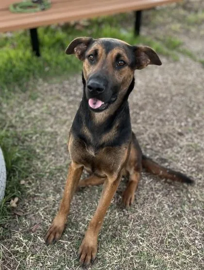 Coraline thumbnail 2