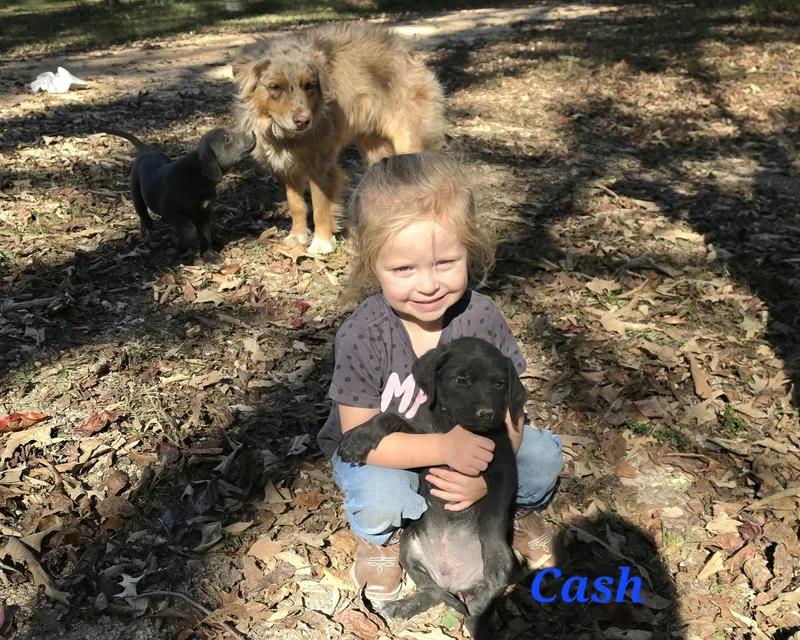 Cash Cheer thumbnail 2