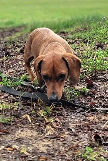 Luke In Nc thumbnail 3