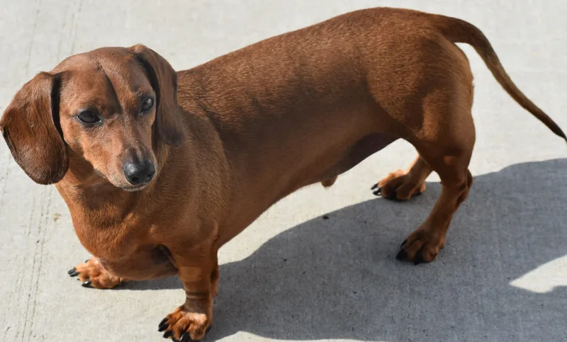 Luke In Nc thumbnail 4