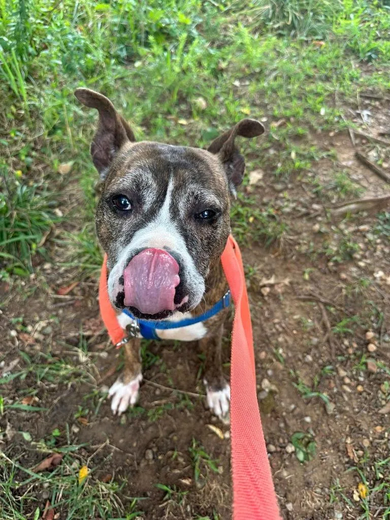 Franklin thumbnail 5