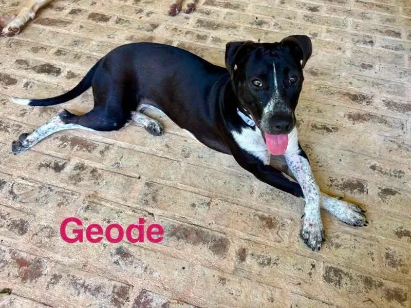 Geode