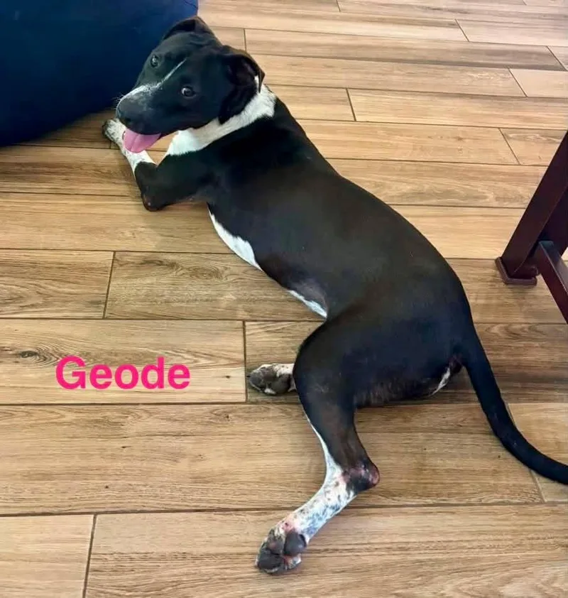 Geode thumbnail 6