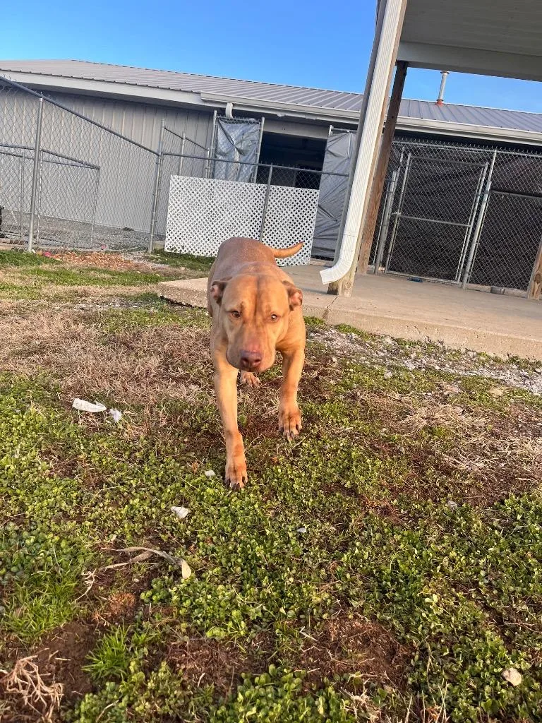 Cassandra thumbnail 2