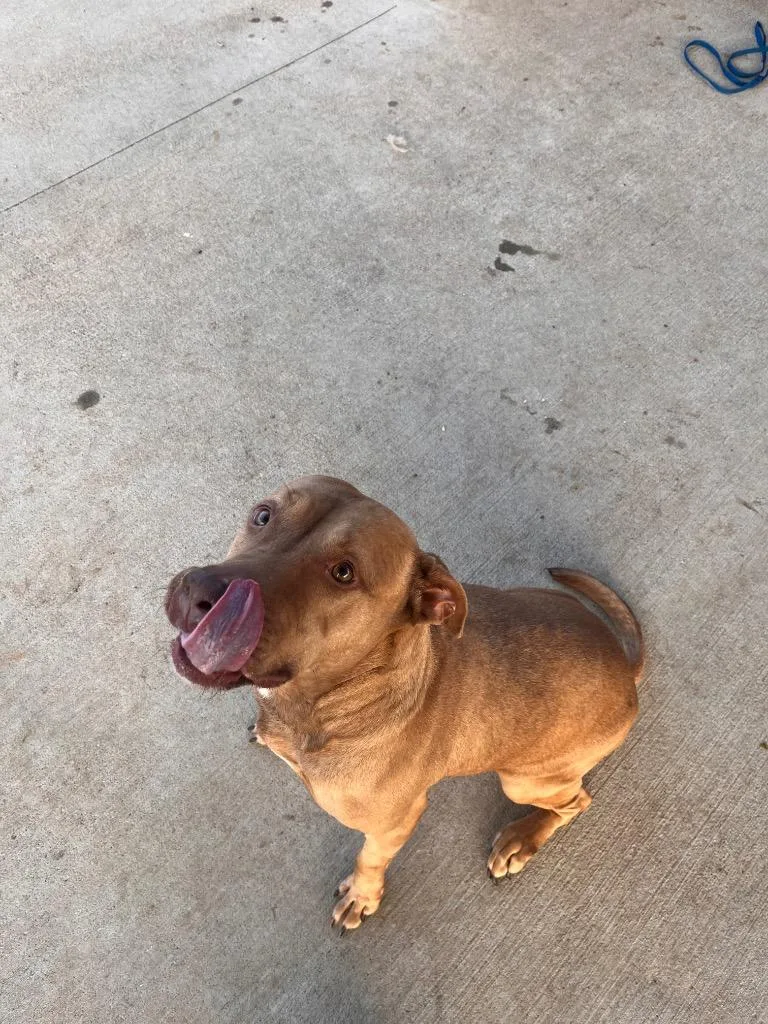 Cassandra thumbnail 4