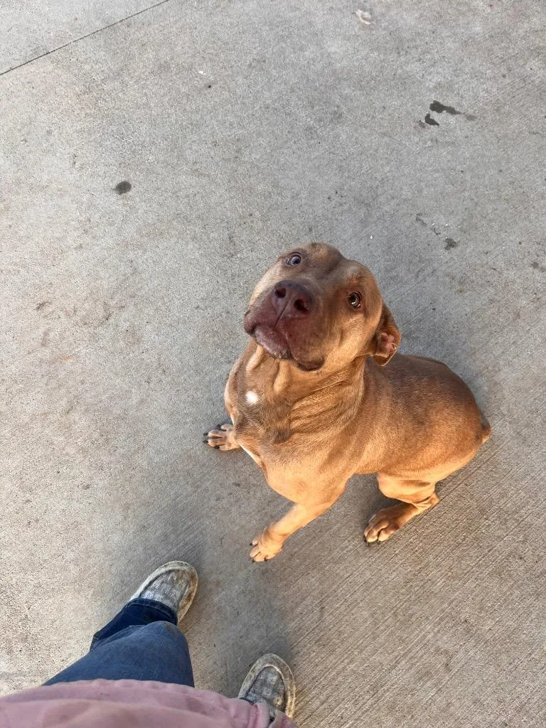 Cassandra thumbnail 6