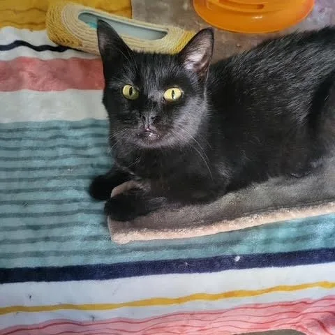 Charlotte thumbnail 2