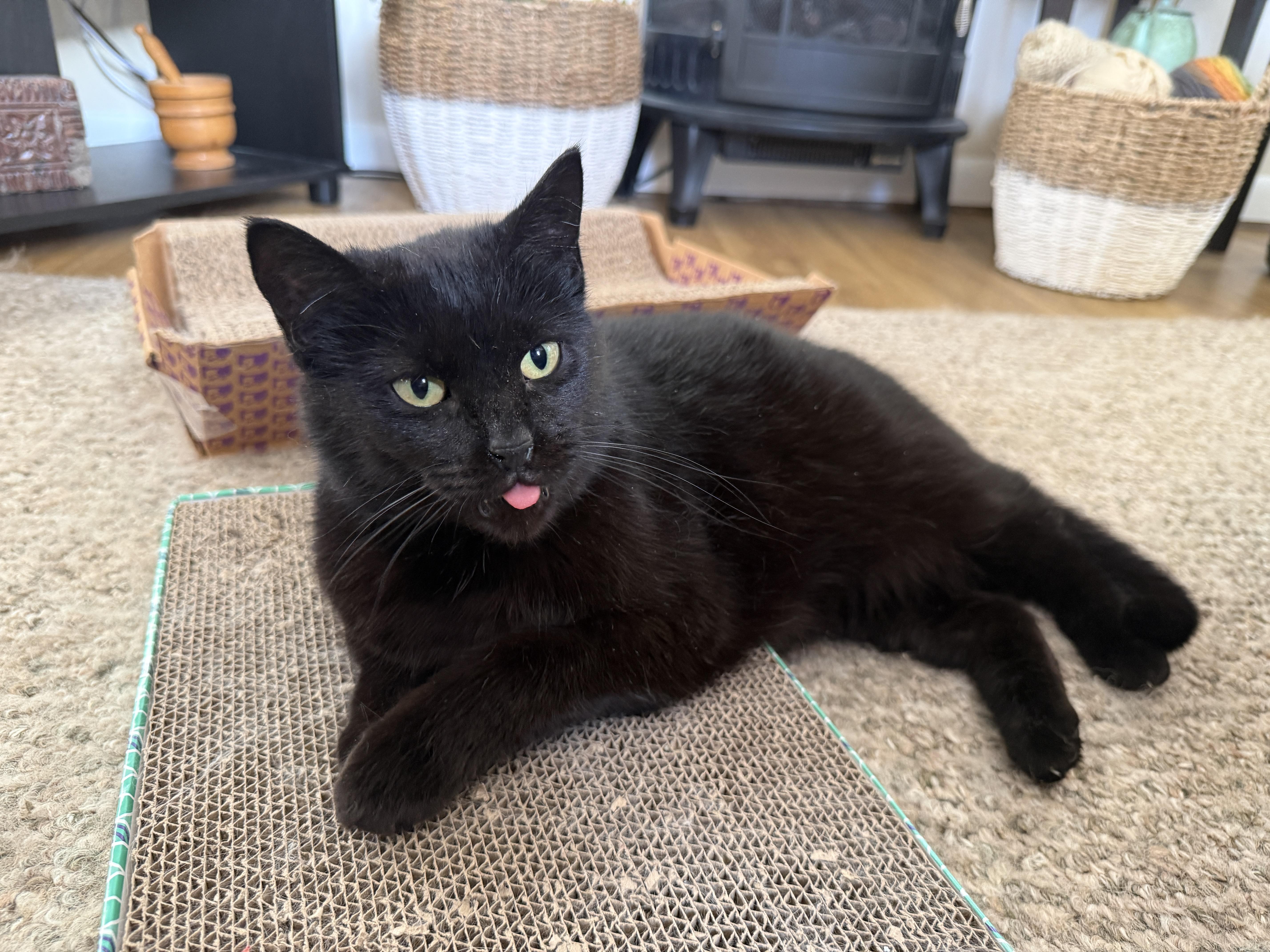 Charlotte thumbnail 4