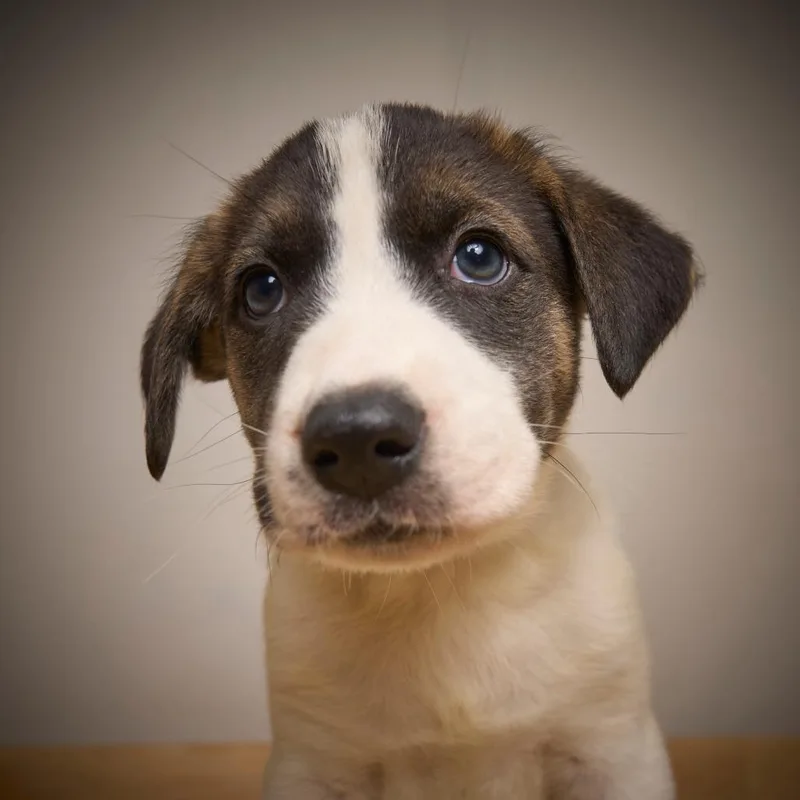 Chance D thumbnail 3