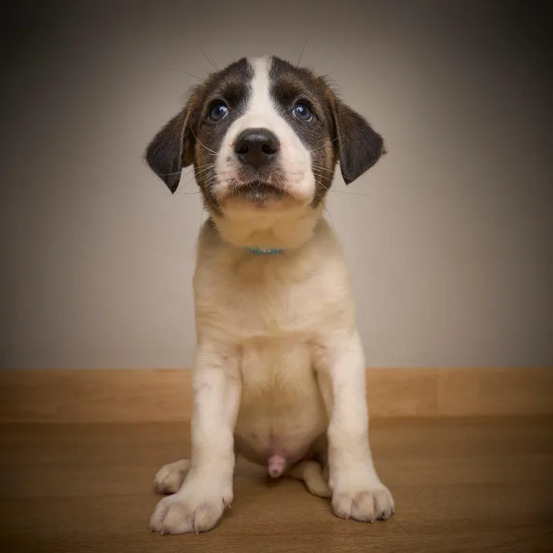 Chance D thumbnail 5