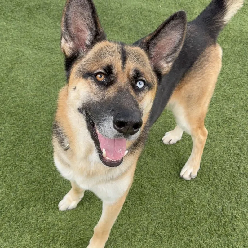 Courage A thumbnail 2