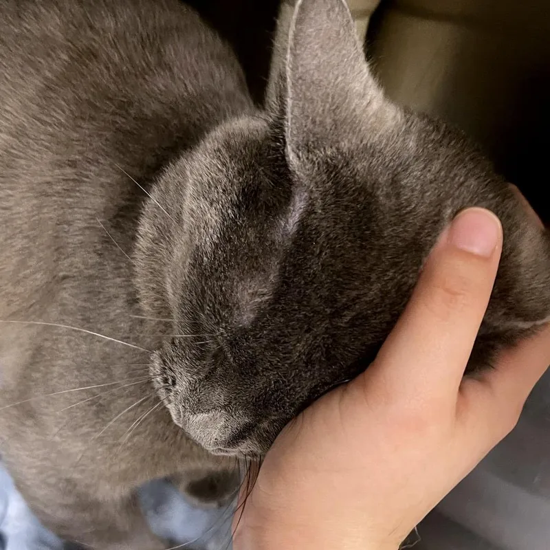Eugene thumbnail 2