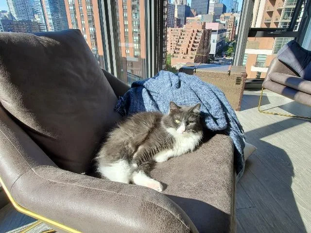 Walter